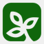 mssrfcabc.res.in