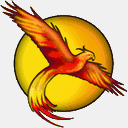 phoenixplumbinginc.com