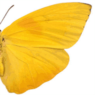 neckpainreliefhelp.com