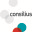 consilius.com.au