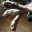 run105.wordpress.com