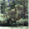 thehakearoom.wordpress.com