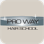 prowayhairschool.com