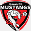 grandfcmustangs.com
