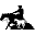 gombac-horses.com