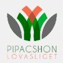 pirzyk.org