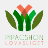 pirzyk.org