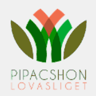 pirzyk.org