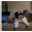 reinventingbea.wordpress.com