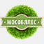 orehovozuevskiy.mosoblles.com