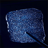 iceics.science.oregonstate.edu