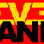 feverbandlive.com