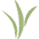 octomaris.com