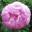 earthsparkle.wordpress.com