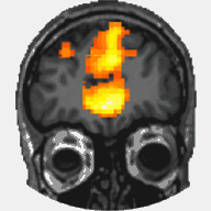 brainerdmnwebdesign.com