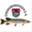 fischereiverein-zusmarshausen.de