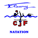 cjf-natation.com