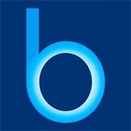 bu-bag.com