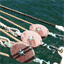 bhbridge.com