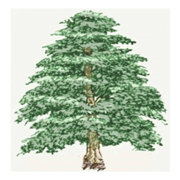 cedarboxgardens.com