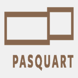 passun.com