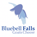 bluebellfalls.com