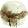 xiaogangzhang.com