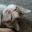 myschief.wordpress.com