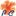 pagoexpress.com.py
