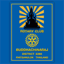 budgetsprinklersystems.net