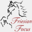 friesianfocus.com