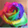 rainbowrose1.com