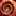 haus-ammonit.ch