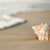 bridgeclubbornholm.nl