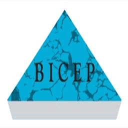 bicepjpa.org