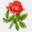 rosetech.in