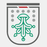 chinaautomarket.com