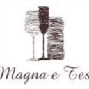 magnaetesweb.com