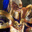 evonyhookups.info