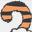tigerrun.com.tw