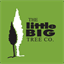 thelittlebigtreecompany.co.nz