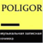 poligor.com