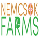 neovis.com
