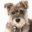foxys-trimsalon.nl
