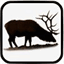 snoqualmievalleyelk.org