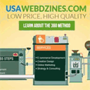 usawebdzines.com