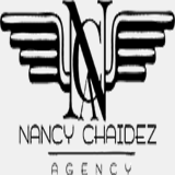 nancychaidez.com