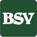 bsvnet.com