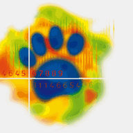 one2onephotography.com.au