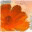 nancyworrelldesigns.com